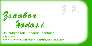 zsombor hodosi business card